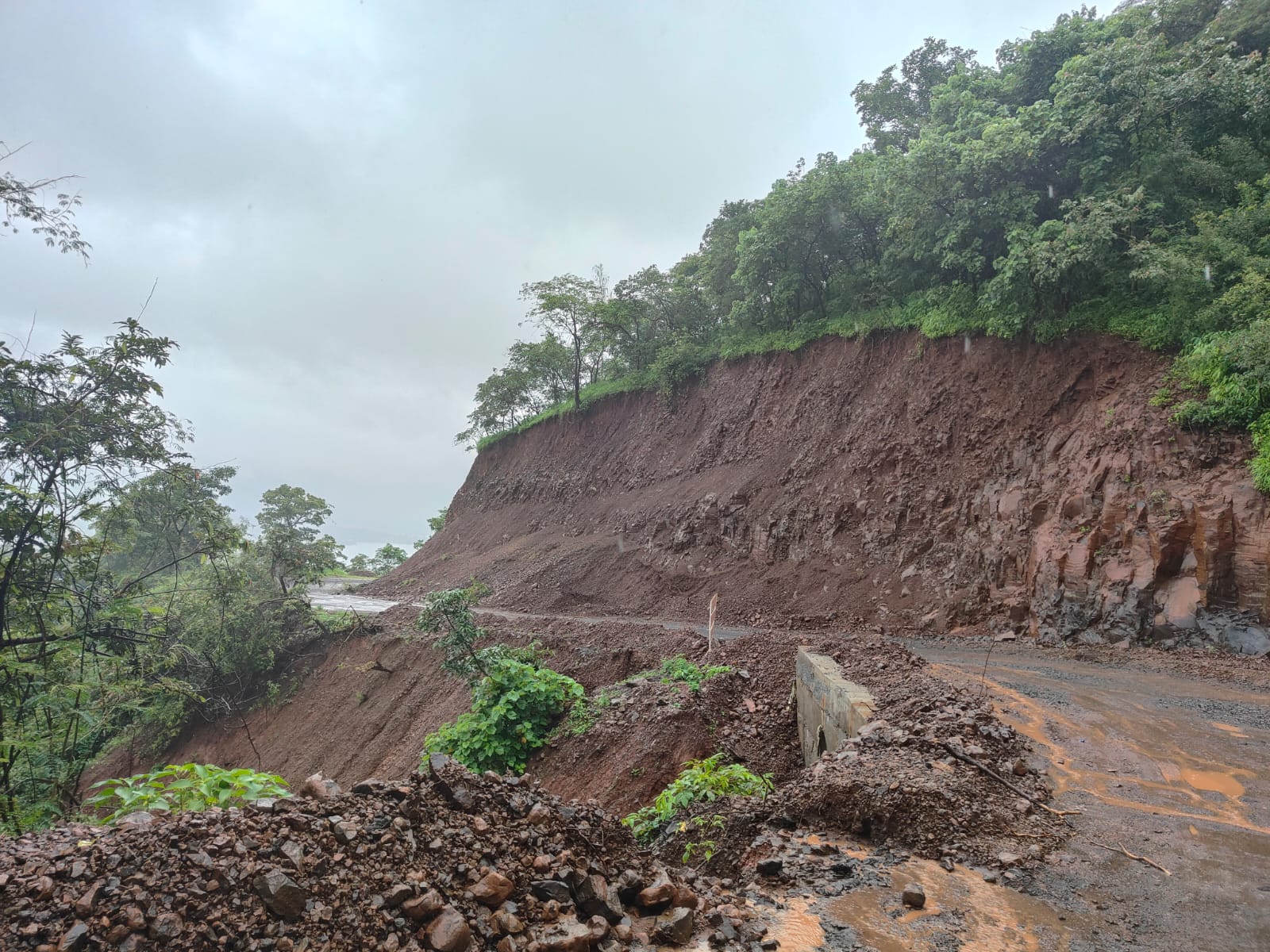 Roadside slope and exposed ground