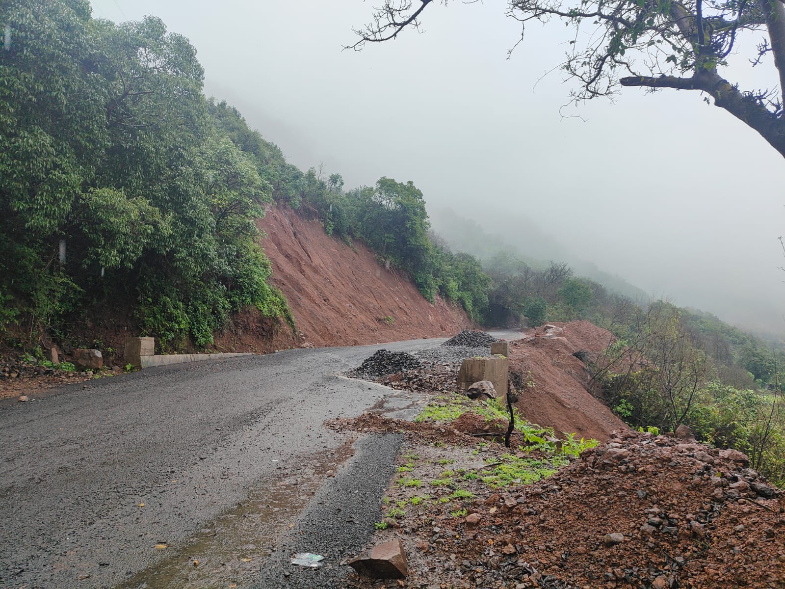 Hillside slope beside a road